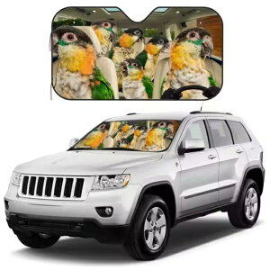 yz TVF[h ERCR   Ƃ o[h bird ʔ 킢  悯  tgKX ՌfM O΍ UVJbg ȒPt J[pi ֗ I[i