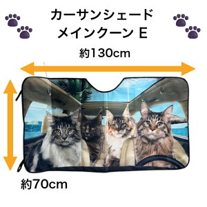 TVF[h CN[ E L lR ˂ CAT cat Lg \tg^Cv ʔ 킢  ԑ悯  Ăh~ Lv Ԓ tgKX ՌfM O΍ UVJbg 