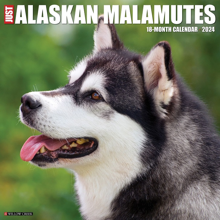 アラスカンマラミュートカレンダー 2024年 令和6年 暦 動物 ペットカレンダー 犬種カレンダー 犬 ドッグ dog DOG 月めくり 輸入 かわいい 中綴じ  ウィロークリーク スクエアタイプ プレゼント 誕生日 クリスマス