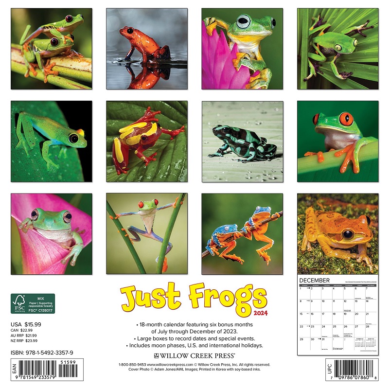 AL完売しました。 カエル 蛙 かえる かわいい 暦 ペットカレンダー クリスマス 中綴じ 誕生日 プレゼント 令和6年 スクエアタイプ カレンダー  ウイロークリーク 2024年 輸入 月めくり 動物 両生類 フロッグ ギフト カレンダー