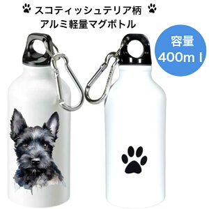 XReBbVeA ps[ }O{g  ^u[ EH[^[{g A~ y nht GR{g SDGs TXeiu Jrit  킢 U s XN[