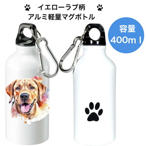 CG[u uh[go[ }O{g  ^u[ EH[^[{g A~ y nht GR{g SDGs TXeiu Jrit  킢 U s X