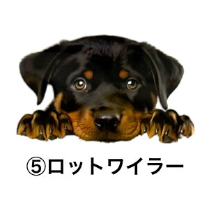 ۗ{gJo[A TRbV {gJo[ Jo[ ۗ {gz_[  ^ ^ {gP[X V_[xgt | ΂ߊ| X}zP[X  zbNt