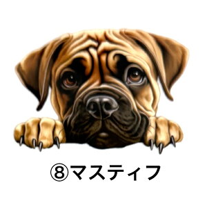 ۗ{gJo[A TRbV {gJo[ Jo[ ۗ {gz_[  ^ ^ {gP[X V_[xgt | ΂ߊ| X}zP[X  zbNt