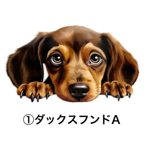 ۗ{gJo[B TRbV {gJo[ Jo[ ۗ {gz_[   ^ ^ {gP[X V_[xgt | ΂ߊ| X}zP[X  