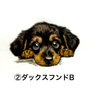 ۗ{gJo[B TRbV {gJo[ Jo[ ۗ {gz_[   ^ ^ {gP[X V_[xgt | ΂ߊ| X}zP[X  