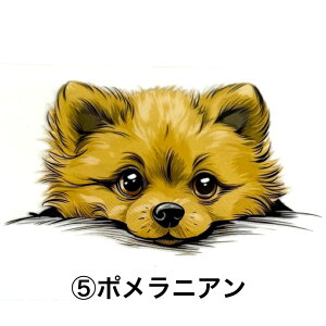 ۗ{gJo[B TRbV {gJo[ Jo[ ۗ {gz_[   ^ ^ {gP[X V_[xgt | ΂ߊ| X}zP[X  