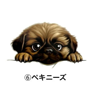 ۗ{gJo[B TRbV {gJo[ Jo[ ۗ {gz_[   ^ ^ {gP[X V_[xgt | ΂ߊ| X}zP[X  