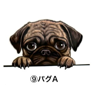 ۗ{gJo[B TRbV {gJo[ Jo[ ۗ {gz_[   ^ ^ {gP[X V_[xgt | ΂ߊ| X}zP[X  