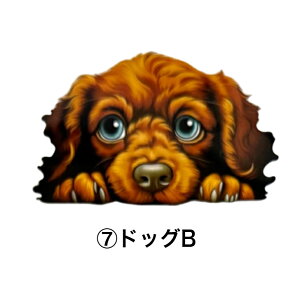 ۗ{gJo[C TRbV {gJo[ Jo[ ۗ {gz_[  ^ ^ {gP[X V_[xgt | ΂ߊ| X}zP[X  zbNt