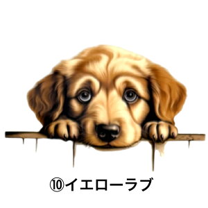 ۗ{gJo[A TRbV {gJo[ Jo[ ۗ {gz_[  ^ ^ {gP[X V_[xgt | ΂ߊ| X}zP[X  zbNt