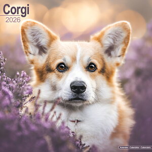 J_[R[M[yM[TCY/Ǌ|z 2026N ߘa8N  A CMX CO  ybgJ_[ ʃJ_[ hbO dog ߂ 킢 Ԃ G[{TCh 