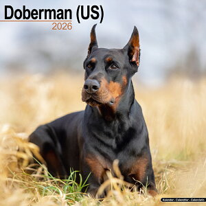 J_[ h[x} f yM[TCY/Ǌ|z 2026N ߘa8N  A CMX  ybgJ_[ ʃJ_[ hbO dog ߂ 킢 Ԃ SDGs G[{T