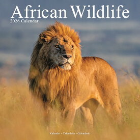 ★ カレンダー アフリカ 野生動物 ワイルドライフ 【レギュラーサイズ/壁掛け】 カレンダー 2026年 令和8年 暦 月めくり サイ カバ チーター 水牛 カバ ゾウ インパラ イボイノシシ 風景カレンダー 輸入 海外版 かわいい 中綴じ エーボンサイド スクエア クリスマス