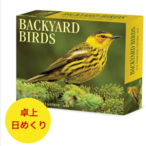 ߂J_[ J_[ obN[ho[h K쒹 y/߂z BOX 2026N ߘa8N   ybgJ_[ fXNJ_[  Ƃ g bird A SDGfs 킢 