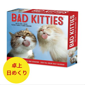 ߂J_[ J_[ obhLg y/߂z߂J_[ BOX 2026N ߘa8N  L lR ˂ Lbg cat CAT Lg LeB[  ybgJ_[ SDGfs A 