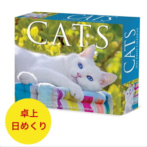 ★日めくりカレンダー カレンダー キャット 【卓上/日めくり】BOX 2026年 令和8年 暦 猫 ネコ ねこ キャット cat CAT キトン キティー 動物 ペットカレンダー SDG’s 輸入 かわいい ウィロー 卓上カ
