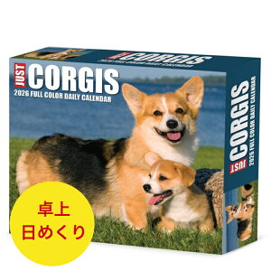 ߂J_[ R[M[ y/߂zBOX 2026N ߘa8N  EGbVR[M[ yu[N ps[  ybgJ_[ ʃJ_[  hbO dog SDGfs A 킢