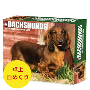 ߂J_[ _bNXth y/߂zBOX 2026N ߘa8N  ps[  ybgJ_[ ʃJ_[  hbO dog SDGfs A 킢 EB[N[N J