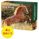 ★日めくりカレンダー カレンダー 馬が教えてくれる事 馬 ホース 【卓上/日めくり】 BOX 2026年 令和8年 暦 動物 ペッ…