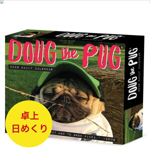 ߂J_[ _OEUEpO pO y/߂zBOX 2026N ߘa8N  ps[  ybgJ_[ ʃJ_[  hbO dog lC CX^O SDGfs A 킢 