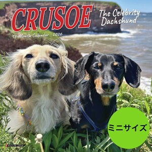 �y���������z�J�����_�[ �_�b�N�X�t���g �N���[�\�[ �L���y�~�j�T�C�Y/�Ǌ|���z 2026�N �ߘa8�N ���� �� ���� ����ʃJ�����_�[ �~�j�^�C�v ���߂��� �_�b�N�X�t���h �� �h�b�O dog �A�� SDGs �C