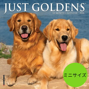 yzJ_[ S[fgo[ g[o[ y~jTCY/Ǌ|z 2026N ߘa8N    ʃJ_[ ~j^Cv ߂ ybgJ_[  hbO dog A