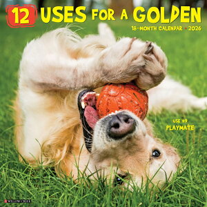 J_[ S[fgo[ USES for No.3 yM[TCY/Ǌ|z g[o[ 2026N ߘa8N   ybgJ_[ J_[  hbO dog ߂ A SDGs 킢
