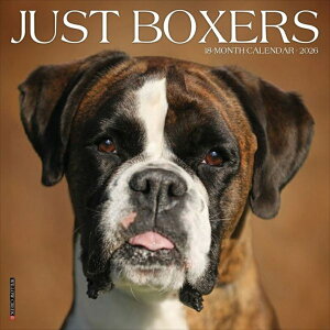 J_[ {NT[ yM[TCY/Ǌ|z 2026N ߘa8N  Boxer  ybgJ_[ J_[  hbO dog DOG ߂ A SDGs CO 킢 Ԃ EB[N[