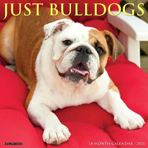 J_[ uhbO CObV yM[TCY/Ǌ|z 2026N ߘa8N   ybgJ_[ J_[  hbO dog DOG ߂ A SDGs CO 킢 Ԃ E