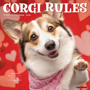 J_[ R[M[ [ yM[TCY/Ǌ|z 2026N ߘa8N  EFV yu[N  ybgJ_[ J_[  hbO dog DOG ߂ A SDGs CO 