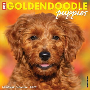J_[ S[fhD[h ps[yM[TCY/Ǌ|z 2026N ߘa8N   ybgJ_[ J_[  hbO dog DOG ߂ A SDGs CO 킢 Ԃ 