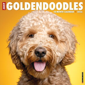  J_[ S[fhD[h yM[TCY/Ǌ|z 2026N ߘa8N   ybgJ_[ J_[  hbO dog DOG ߂ A CO 킢 Ԃ EB[