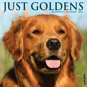 J_[ S[fgo[ g[o[ yM[TCY/Ǌ|z 2026N ߘa8N  x@  ybgJ_[ J_[  hbO dog DOG ߂ A CO 킢