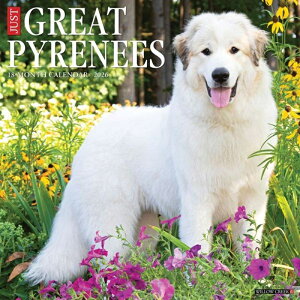 J_[ O[gsj[Y yM[TCY/Ǌ|z 2026N ߘa8N  ps[   ps[ ybgJ_[ J_[  hbO dog DOG ߂ A SDGs 킢 