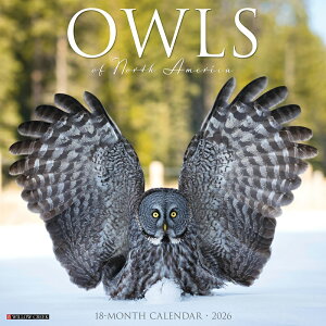  J_[ tNE yM[TCY/Ǌ|z 2026N ߘa8N   owl ҋח  tNE VtNE V~~YN 쐶 SDGs WILD LIFE ybgJ_[ ߂ A 