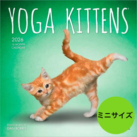 ★【送料無料】カレンダー ヨガキトン ヨガ 仔猫 子猫 【ミニサイズ/壁掛け】 カレンダー 2026年 令和8年 動物 暦 猫 ネコ ねこ cat CAT ペットカレンダー 猫種カレンダー 月めくり 輸入 SDGs かわいい 中綴じ ブラウントラウト プレゼント 誕生日 クリスマス
