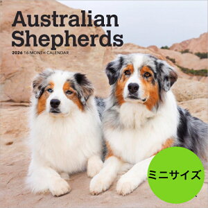 J_[ yzI[XgAVFp[h I[V[ y~jTCY/Ǌ|z 2026N ߘa8N    ybgJ_[ J_[   hbO dog ߂ A 