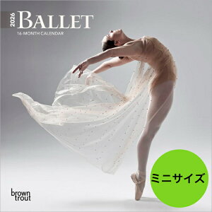 yzoG o[iy~jTCY/Ǌ|z J_[ 2026N ߘa8N A[eBXg x ߂ A SDGs 킢 Ԃ uEgEg XNGA^Cv v[g a