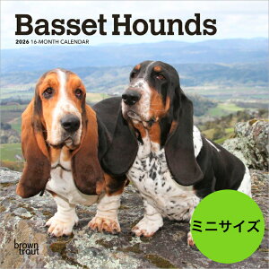 �J�����_�[ �y���������z�o�Z�b�g�n�E���h �y�~�j�T�C�Y/�Ǌ|���z 2026�N �ߘa8�N �~�j�^�C�v ���� �� ���� �y�b�g�J�����_�[ ����J�����_�[ �p�s�[ �� ���� �h�b�O dog ���߂��� �A�� SDGs ��