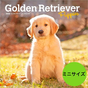 J_[ yzS[fgo[ ps[y~jTCY/Ǌ|z 2026N ߘa8N   g[o[ ybgJ_[ J_[   hbO dog x@ ߂ A