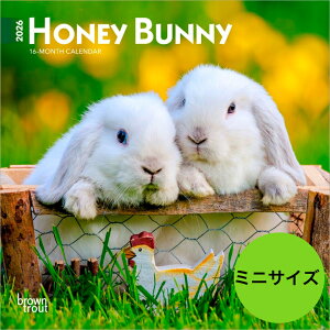 yzJ_[ ETMEoj[ y~jTCY/Ǌ|z 2026N ߘa8N  쐶  qETM e@ ꎨ  ybgJ_[ybgJ_[ J_[ 