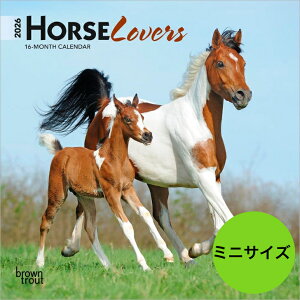 yzJ_[ E}y~jTCY/Ǌ|z 2026N ߘa8N  n  Horse  t@[Aj} ybgJ_[ J_[ ߂ A 킢 Ԃ uEg