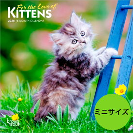 ★【送料無料】カレンダー キトン 子猫【ミニサイズ/壁掛け】 2026年 令和8年 動物 暦 仔猫 猫 ネコ ねこ cat キャット動 物 ペットカレンダー 月めくり 輸入 SDGs かわいい 中綴じ ブラウントラウト スクエアタイプ プレゼント 誕生日 クリスマス