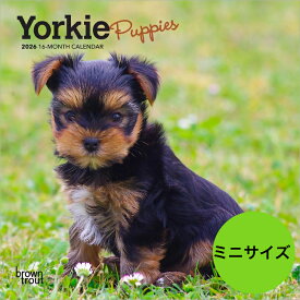 ★【送料無料】カレンダー ヨークシャーテリア パピー ヨーキー【ミニサイズ/壁掛け】 2026年 令和8年 動物 暦 動物 ペットカレンダー 犬種カレンダー 犬 いぬ ドッグ dog 月めくり 輸入 かわいい 中綴じ ブラウントラウト スクエアタイプ プレゼント 誕生日 クリスマス