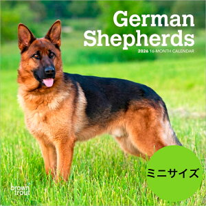 yzJ_[ W[}VFp[h y~jTCY/Ǌ|z 2026N ߘa8N   ps[ ybgJ_[ J_[   hbO dog ߂ A SDGs 킢 Ԃ