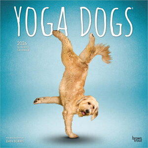 J_[ K hbO KhbO yM[TCY/Ǌ|z 2026N ߘa8N   ybgJ_[ J_[ Ck  dog DOG ߂ A SDGs 킢 Ԃ uEg