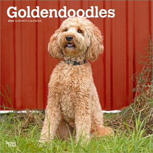 J_[ S[fhD[hyM[TCY/Ǌ|z 2026N ߘa8N   ybgJ_[ ʃJ_[  hbO dog ߂ A SDGs 킢 Ԃ uEg