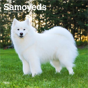  TGh yM[TCY/Ǌ|z J_[ 2026N ߘa8N   ybgJ_[ J_[  hbO dog DOG ߂ A SDGs 킢 Ԃ uEgEg XNG