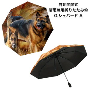 yzW[}VFp[h A J Jp ܂肽ݎP gь^  8{ I[i[ObY a99cm fB[X Y jp JP P 킢  ~J CO